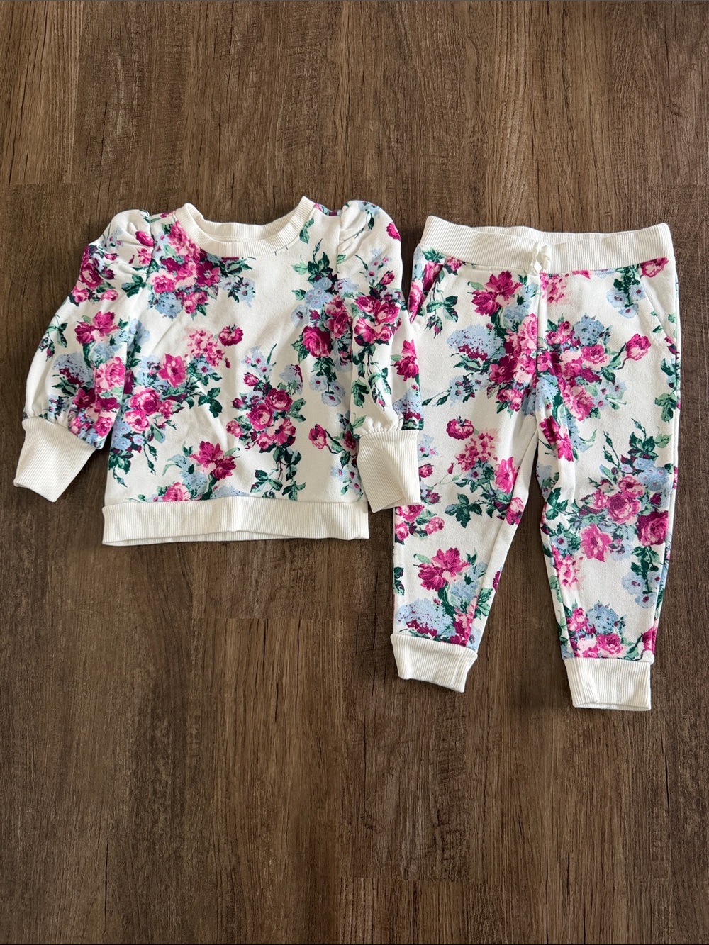 Janie & Jack Floral Sweatshirt & Jogger Set 2T